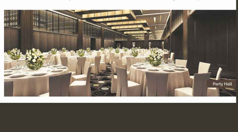 Metro-Crown-Amenities-Party-Hall